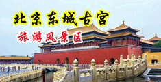 鸡巴入逼视频中国北京-东城古宫旅游风景区